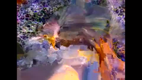 MED online show from March 8, 9:08 pm