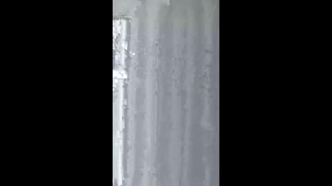 2002alien online show from June 1, 8:37 am