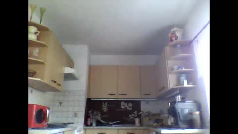 20x5cmgermanlongdong online show from March 9, 6:40 am