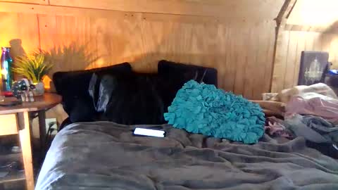 27tnguy online show from February 28, 9:13 am