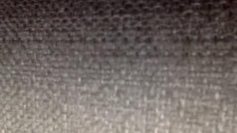 30nick online show from February 3, 6:40 am