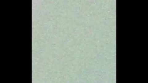 38 Parrots online show from January 8, 7:09 pm