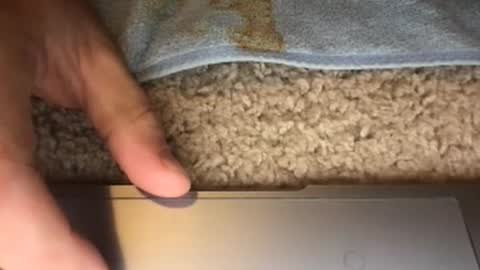 3dging_sub online show from October 9, 12:05 am