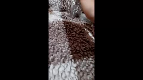 3X NAXAA online show from February 15, 1:21 pm