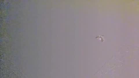 Zeus online show from March 7, 11:10 am