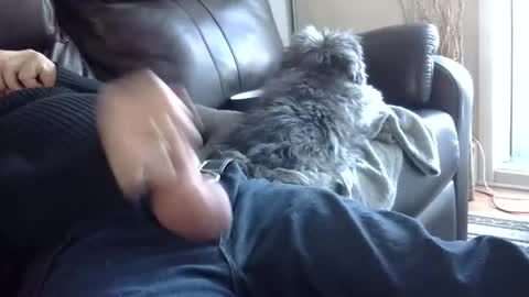 66bear online show from March 2, 10:05 pm