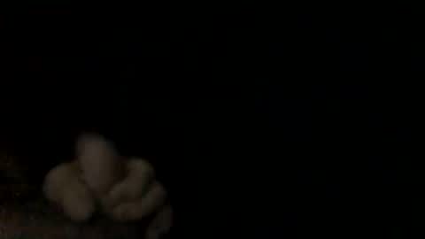 75stingray online show from December 4, 9:34 am