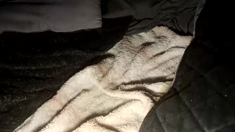 8675309r2d2 online show from January 19, 10:36 am