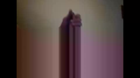 8indonkey online show from March 1, 5:22 am