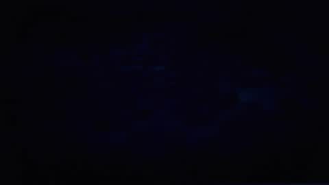 Bet online show from November 23, 7:39 am