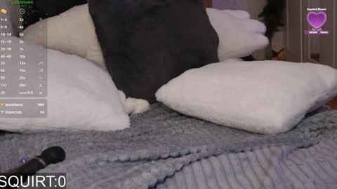 Snapshot of _aleksa chatting on January 25, 9:15 am Alexa online show from January 25, 9:15 am