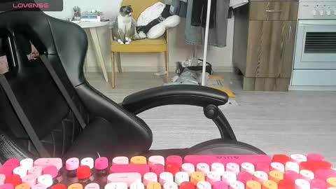 Alis online show from March 2, 7:15 am