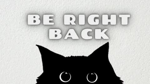 Katarina online show from December 2, 2:15 pm