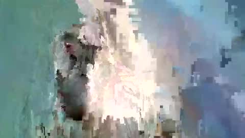 KAPELKA   online show from November 13, 5:32 am