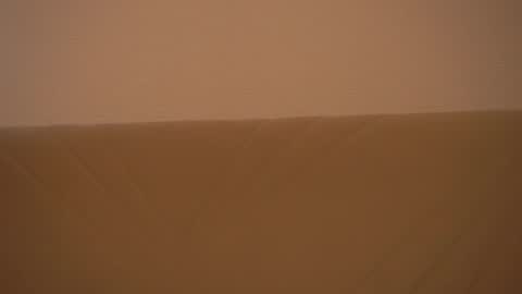 Alice online show from February 10, 10:20 am