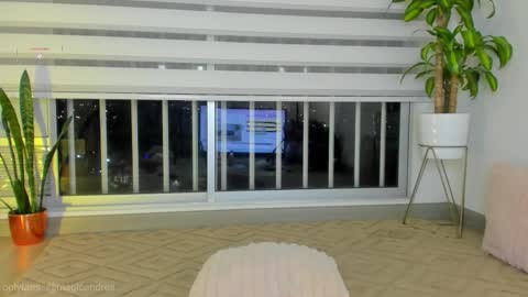 Meel online show from November 21, 5:05 am