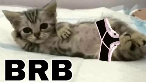 miko3 online show from November 25, 10:52 pm