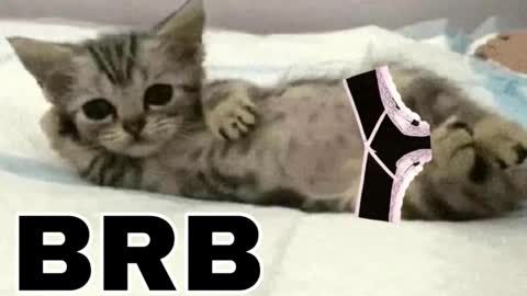 miko3 online show from November 26, 11:12 pm