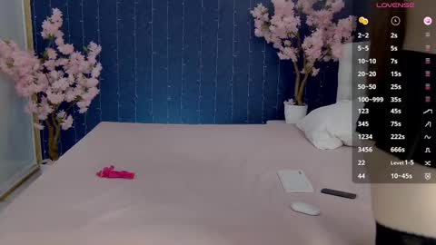 Snapshot of _mirror_girl chatting on February 19, 6:33 am Victoria online show from February 19, 6:33 am