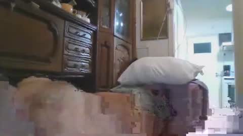 a203530 online show from May 26, 6:19 am