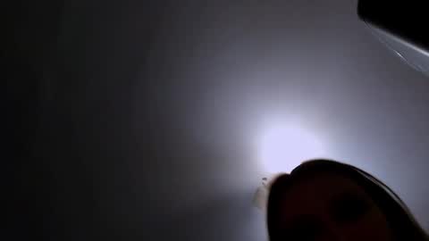 Alice online show from October 14, 2:53 pm