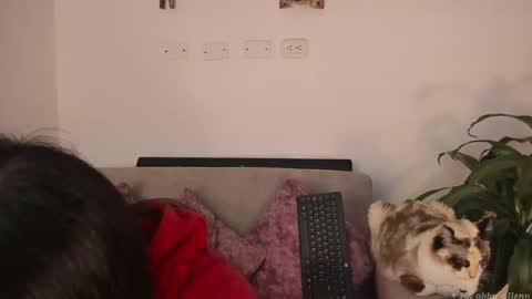 Snapshot of abbey_allen chatting on March 7, 11:38 pm Abbey  IG abby allenn  Independent model online show from March 7, 11:38 pm