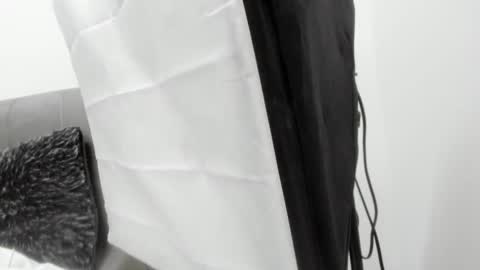 Abigail online show from November 8, 11:57 am