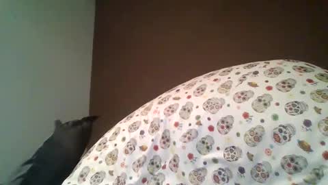 absolutwinner online show from January 11, 5:57 am