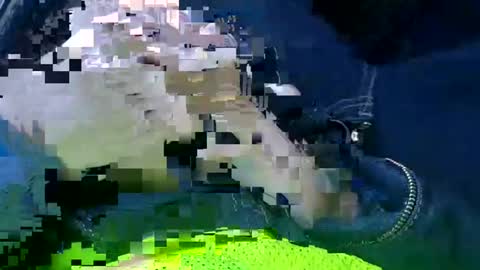 Ace online show from January 14, 1:49 pm