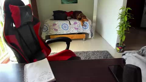 Adam Valencia online show from October 16, 4:28 pm