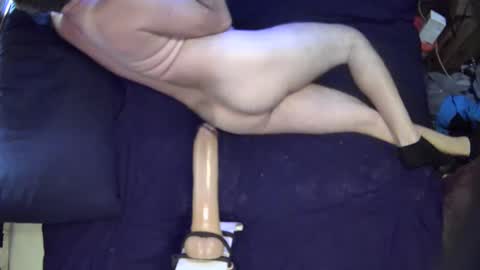 Snapshot of adamineve chatting on February 17, 4:50 pm adamineve online show from February 17, 4:50 pm