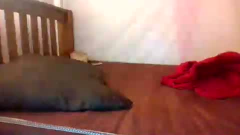 i wish to be someones real princess online show from July 21, 5:42 am