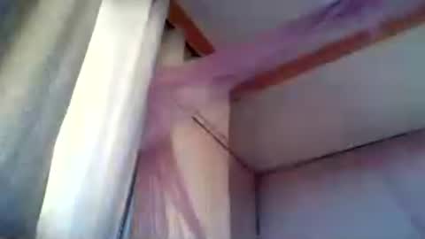 i wish to be someones real princess online show from July 23, 7:28 am