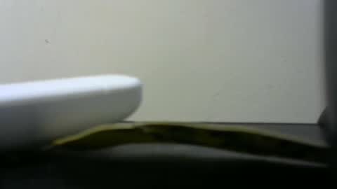 africanlovei online show from January 2, 6:01 pm