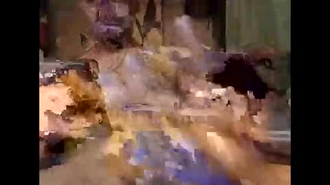 aftermathr3 online show from May 27, 5:37 am