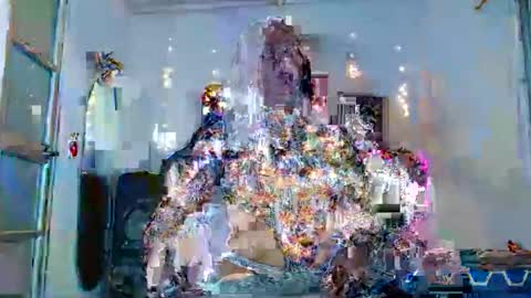 aisha299 online show from December 20, 7:48 am