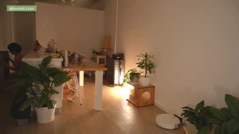 Ale online show from March 9, 2:05 am