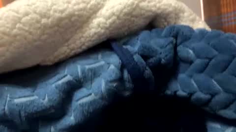 alexander418284 online show from November 12, 2:30 pm