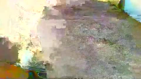 Alex online show from October 17, 2:54 pm