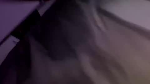 Alex online show from February 8, 4:14 pm