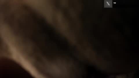 Alice online show from December 3, 2:42 am