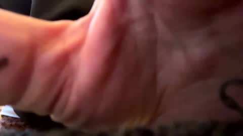 all_m3 online show from December 1, 1:20 pm