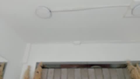    online show from February 2, 10:44 am