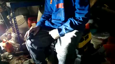 allwolf0323 online show from December 22, 7:48 am