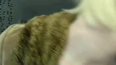 Ally Girl In Her Ally World online show from December 21, 6:31 am