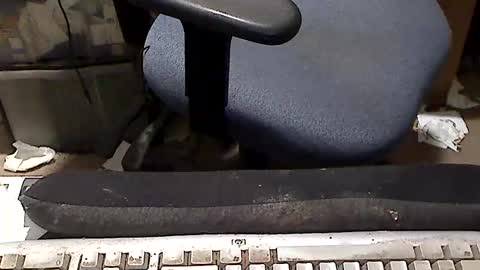 Loooopy online show from March 15, 4:54 pm