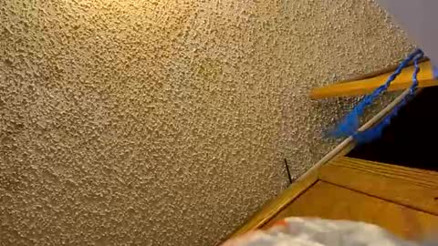 alostmale online show from November 13, 9:17 pm