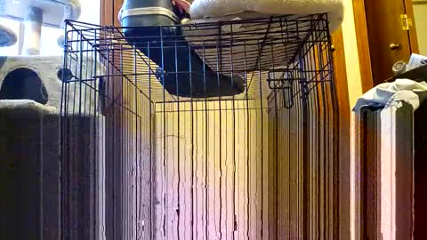 EatThatAzz online show from November 17, 5:04 pm