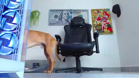 Alpha pprs online show from January 6, 5:28 pm