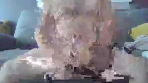 Altranzo online show from November 10, 4:10 pm